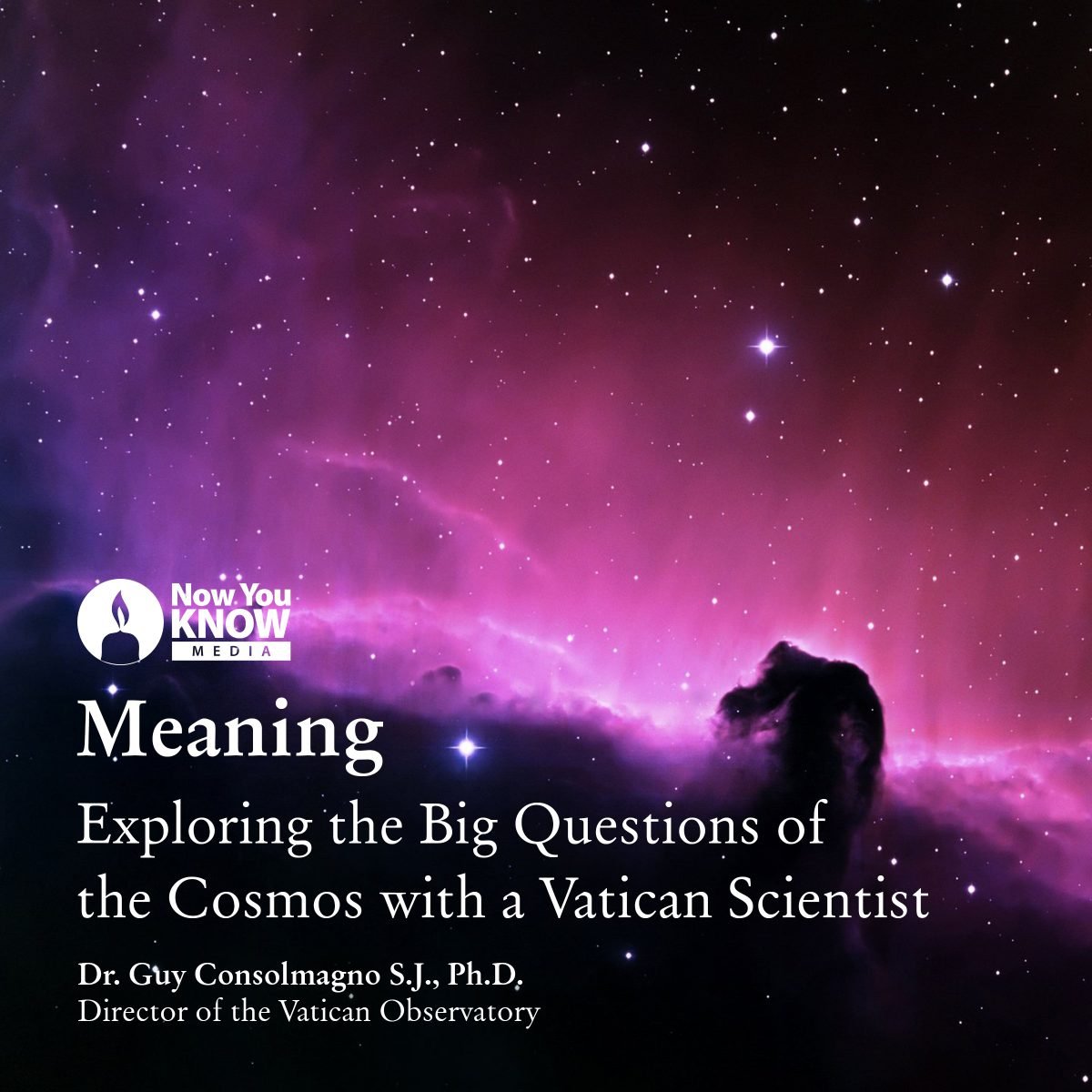 Meaning Exploring the Big Questions of the Cosmos LEARN25