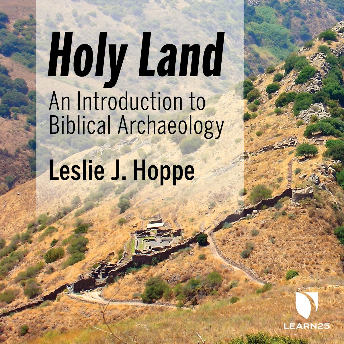 Biblical Archaeology An Introduction to the Holy Land LEARN25