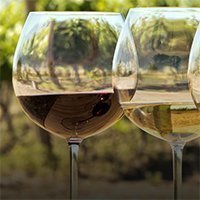 Great Wine: How to Understand and Enjoy the World’s 10 Best Wine Varietals-0