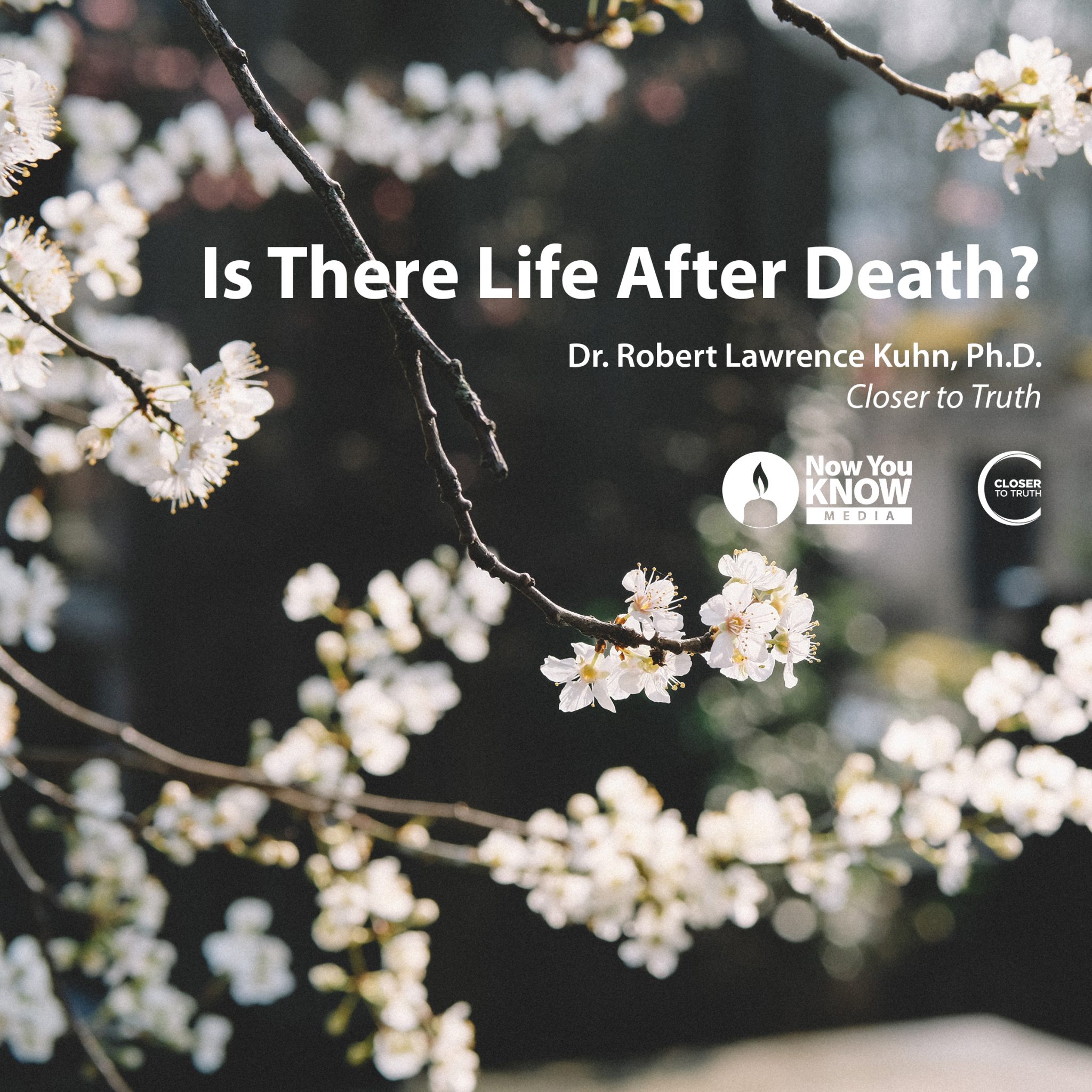 there is life after death essay
