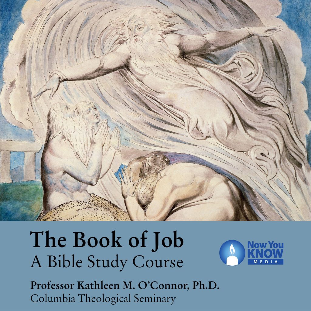 essay on the book of job