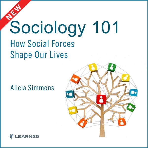 Sociology 101