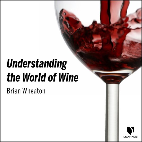 Understanding the World of Wine
