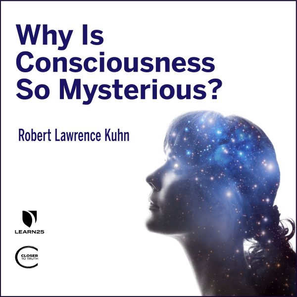 Why is Consciousness so Mysterious?