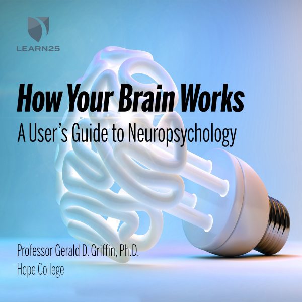 How Your Brain Works: A User’s Guide to Neuropsychology