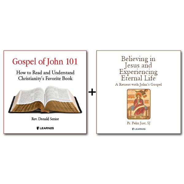 Audio Bundle: The Gospel of John + A Retreat with the Gospel of John - 10 CDs Total