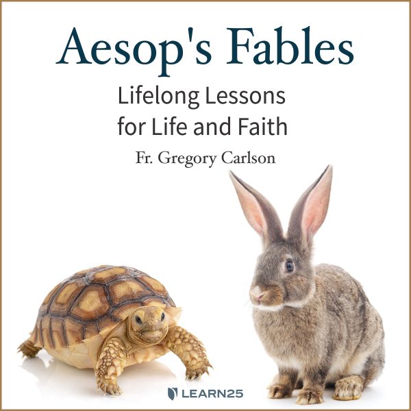 Aesop's Fables: Lifelong Lessons for Life & Faith