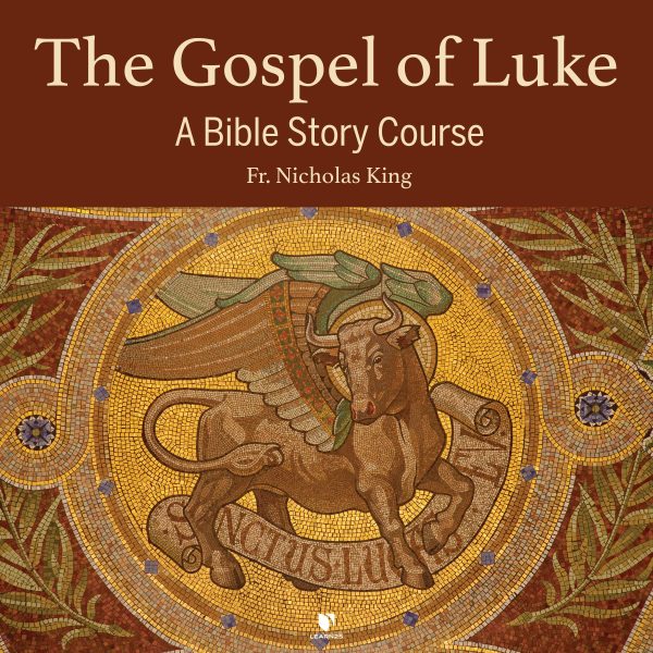 The Gospel of Luke: A Bible Story Course