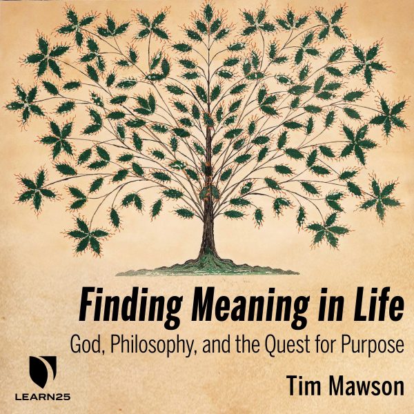 Finding Meaning in Life: God, Philosophy and the Quest for Purpose