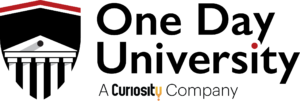 One Day University